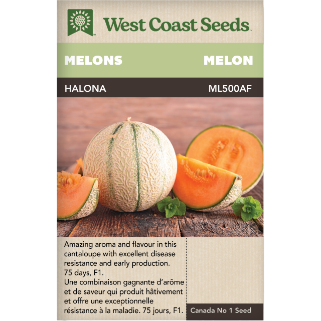 Halona F1 Cantaloupe Melons Vegetables Seeds - West Coast Seeds