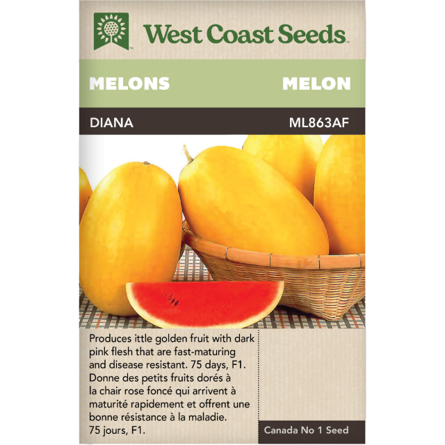 Diana F1 Watermelon Melons Vegetables Seeds - West Coast Seeds