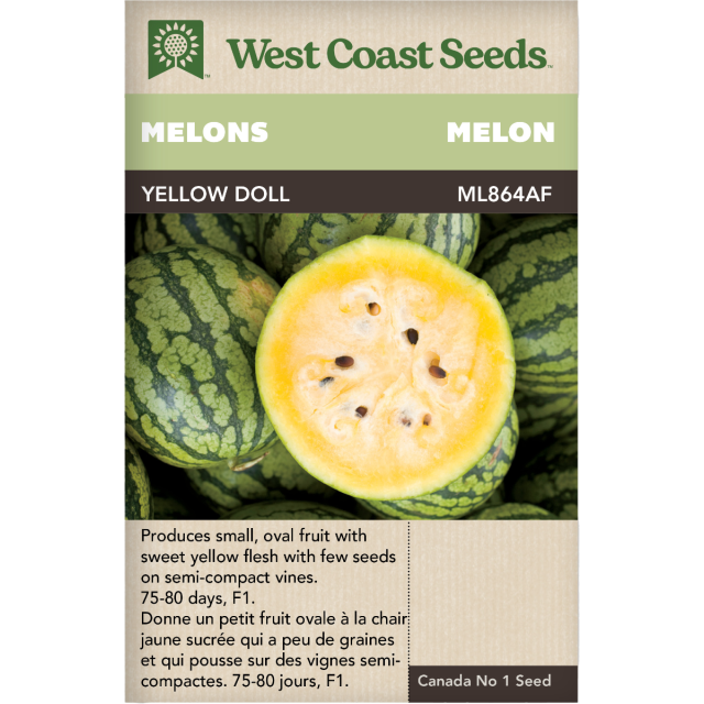 Yellow Doll (Baby) Pastèque Melons Légumes Graines - West Coast Seeds