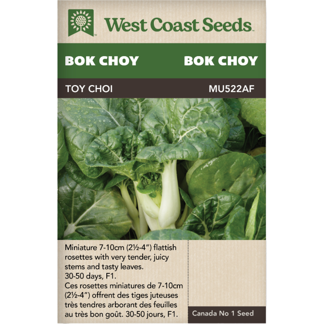 Toy Choy Bok Choy Pac Choi Légumes Graines - West Coast Seeds