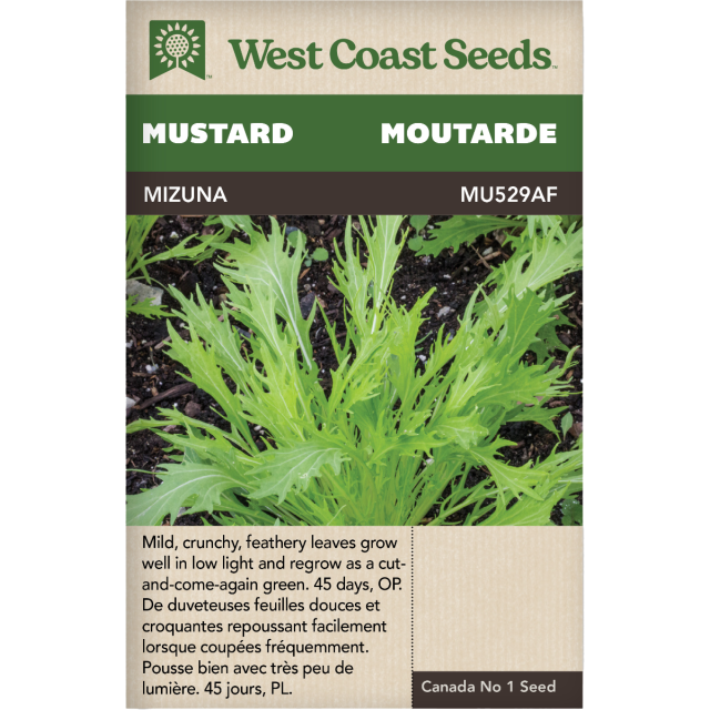 Mizuna Mizuna Moutarde Légumes Graines - West Coast Seeds