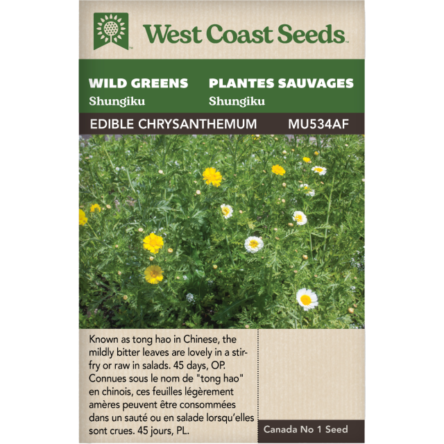 Frilly Edible Chrusanthemum Shungiku Verts sauvages Légumes Graines - West Coast Seeds