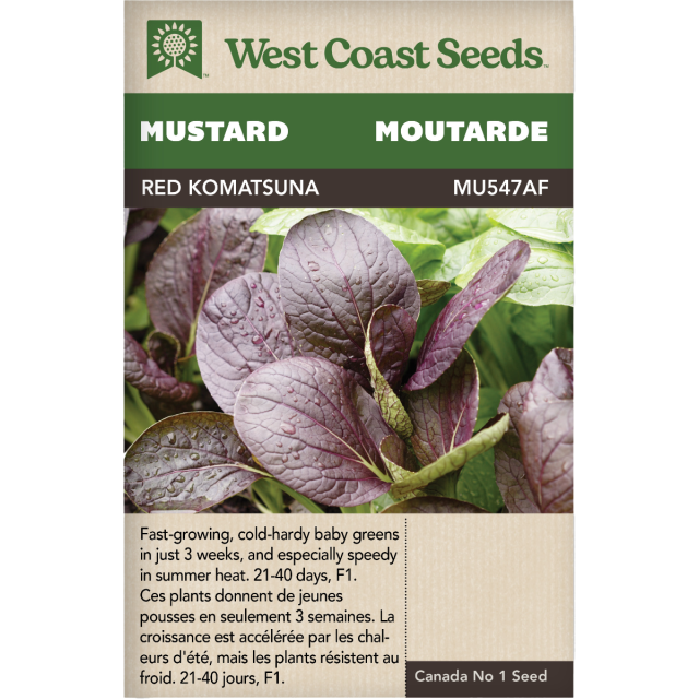 Komatsuna Rouge Komatsuna Moutarde Légumes Graines - West Coast Seeds