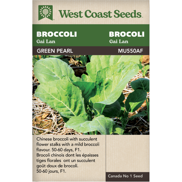 Green Pearl Gai Lan Gai Lan Légumes Graines - West Coast Seeds