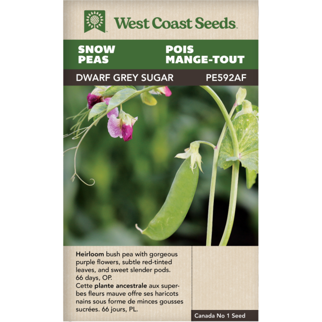 Dwarf Grey Sugar Neige Pois Légumes Graines - West Coast Seeds