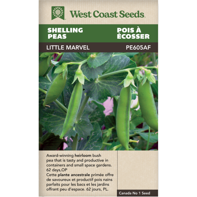 Little Marvel Shelling Peas Vegetables Seeds - West Coast Seeds