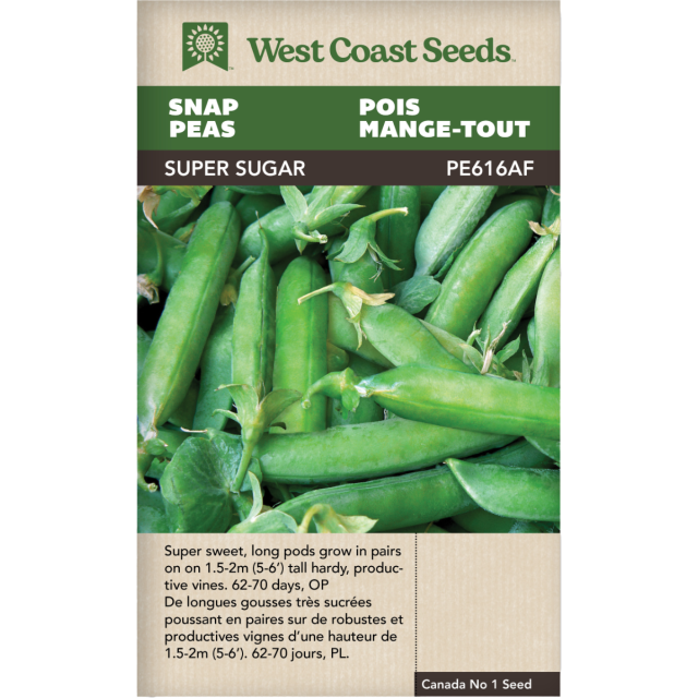 Super Sugar Bouton-pression Pois Légumes Graines - West Coast Seeds