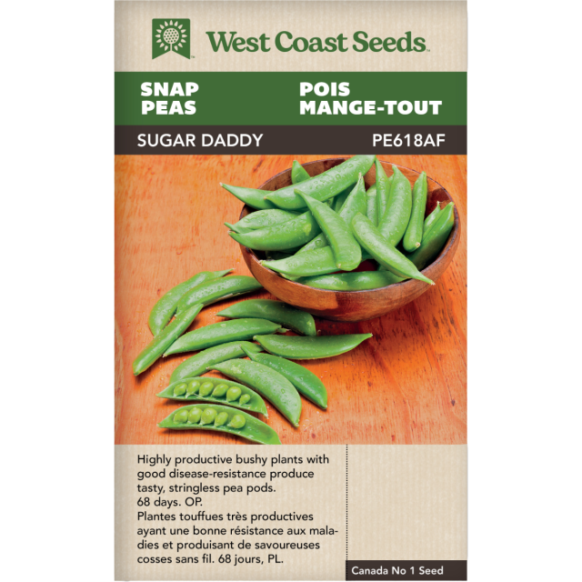 Sugar Daddy Snap Peas Vegetables Seeds - West Coast Seeds