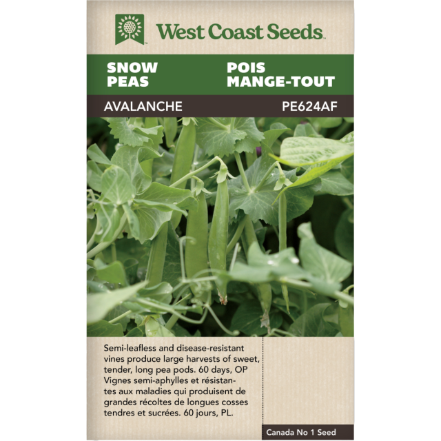 Avalanche Neige Pois Légumes Graines - West Coast Seeds