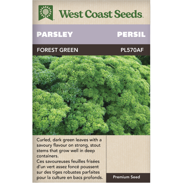 Forest Green Parsley Herbs Seeds - West Coast Seeds