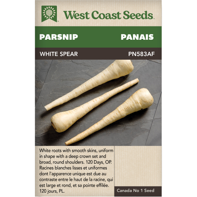 White Spear Panais Légumes Graines - West Coast Seeds