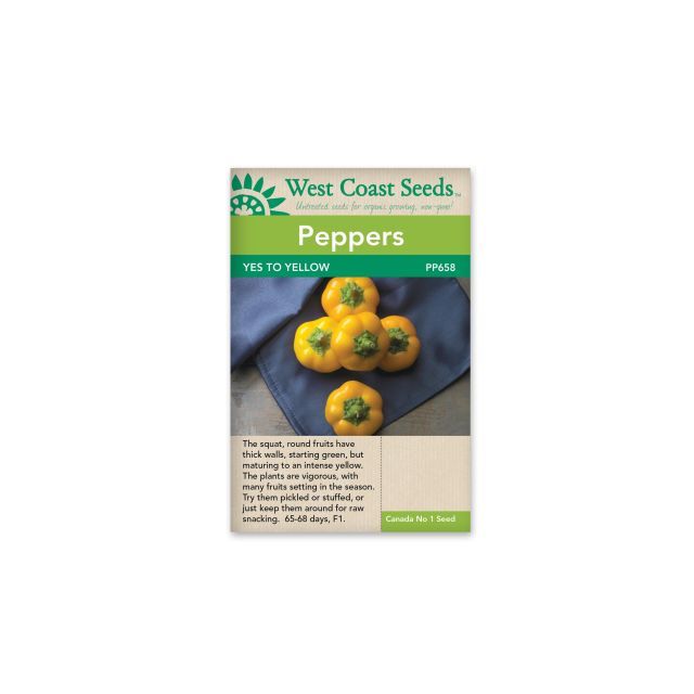 Yes to Yellow F1 Hungarian Cheese Peppers (20 Seeds) Sweet Peppers Vegetable Seeds - West Coast Seeds - PP658A