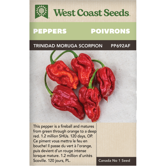 Trinidad Moruga Scorpion Chaud Poivrons Légumes Graines - West Coast Seeds