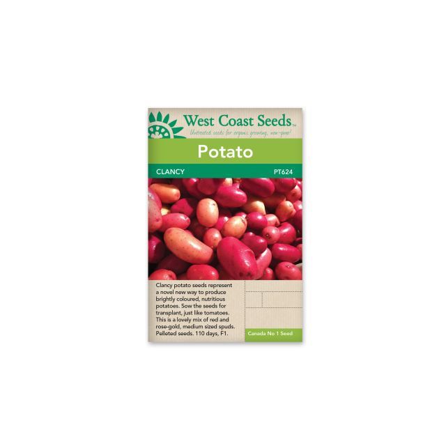 Clancy F1 (Pelleted) (20 Seeds) Potato Vegetable Seeds - West Coast Seeds - PT624A