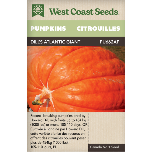 Dill's Atlantic Giant Citrouilles Légumes Graines - West Coast Seeds