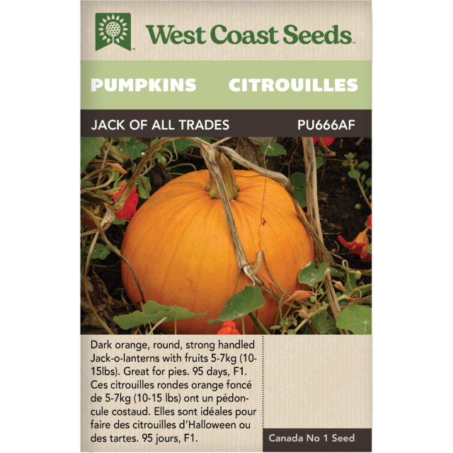 Jack of All Trades Citrouilles Légumes Graines - West Coast Seeds