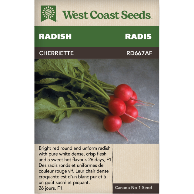 Cherriette Red Radishes Vegetables Seeds - West Coast Seeds
