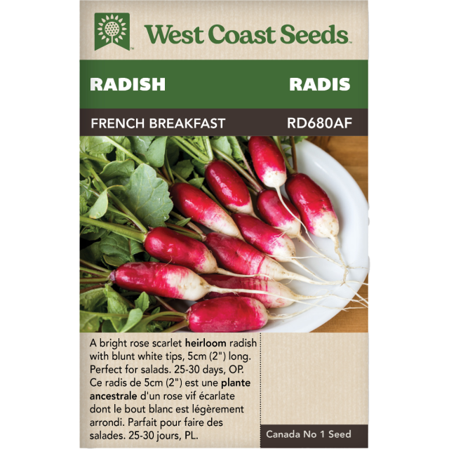 French Breakfast Red Radishes Vegetables Seeds - West Coast Seeds