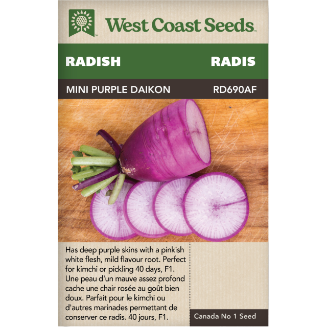 Mini Purple Daikon Radis Légumes Graines - West Coast Seeds