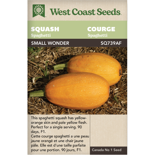 Small Wonder F1 Spaghetti Squash Vegetables Seeds - West Coast Seeds