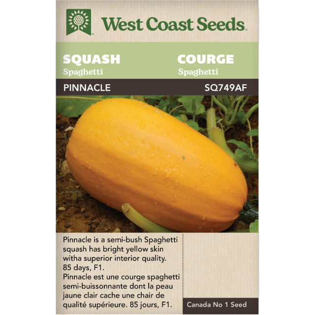 Pinnacle Spaghetti Courge Légumes Graines - West Coast Seeds