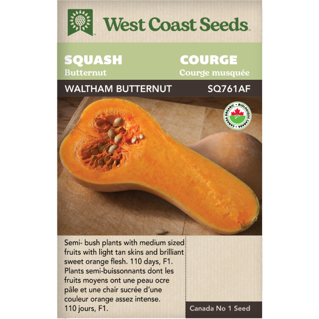 Waltham Noyer cendré Courge Légumes Graines Biologiques - West Coast Seeds