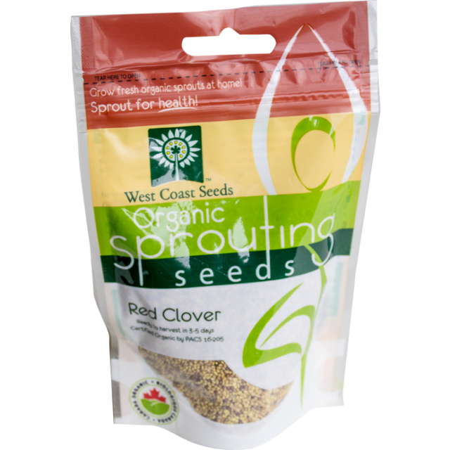 Red Clover Certified Organic Sprouting Clover Vegetable Seeds - West Coast Seeds - SS105A