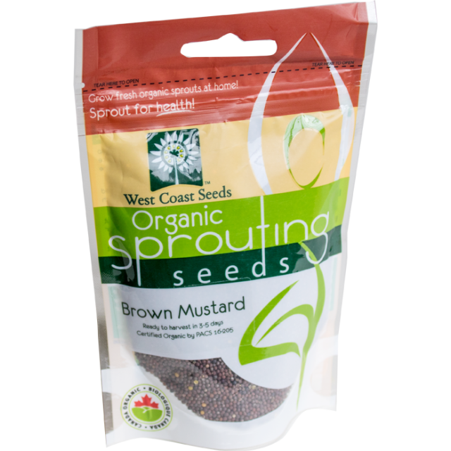 Brown Mustard Certified Organic Sprouting Mustard Vegetable Seeds - West Coast Seeds - SS108A