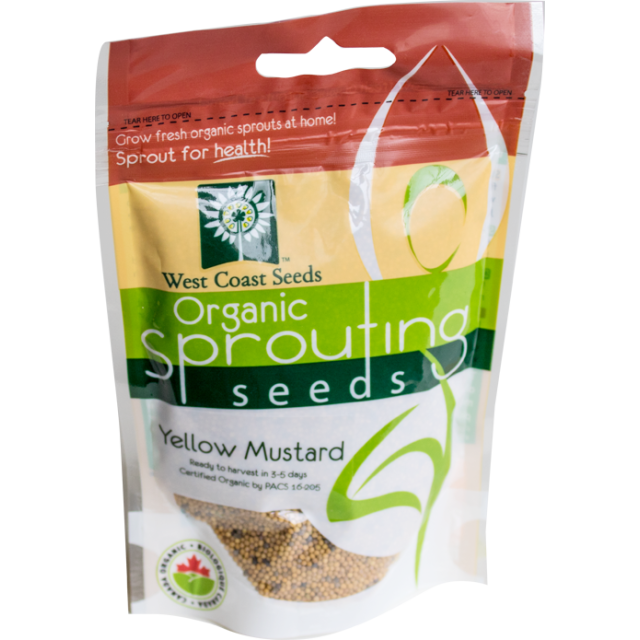 Mustard Yellow Certified Organic Sprouting Mustard Vegetable Seeds - West Coast Seeds - SS109A