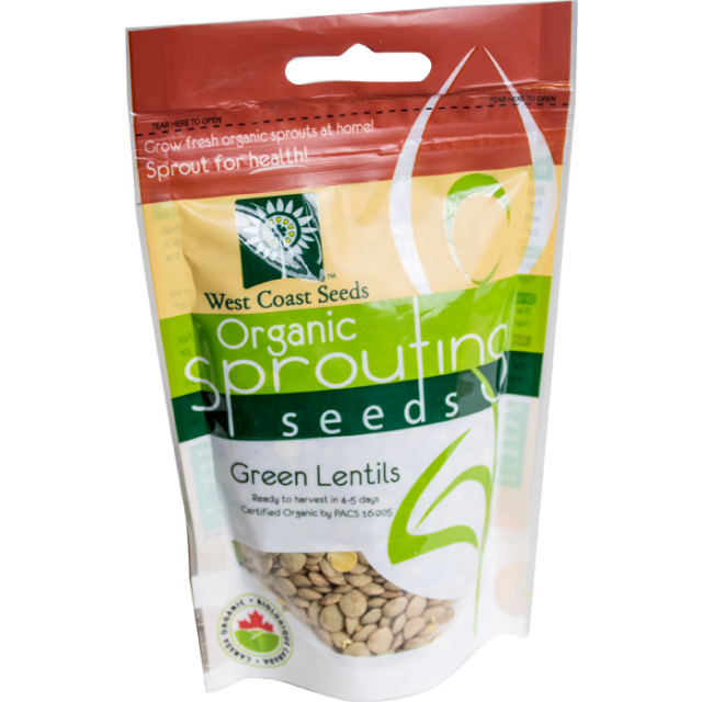 Green Lentils Certified Organic Sprouting Lentils Vegetable Seeds - West Coast Seeds - SS113A