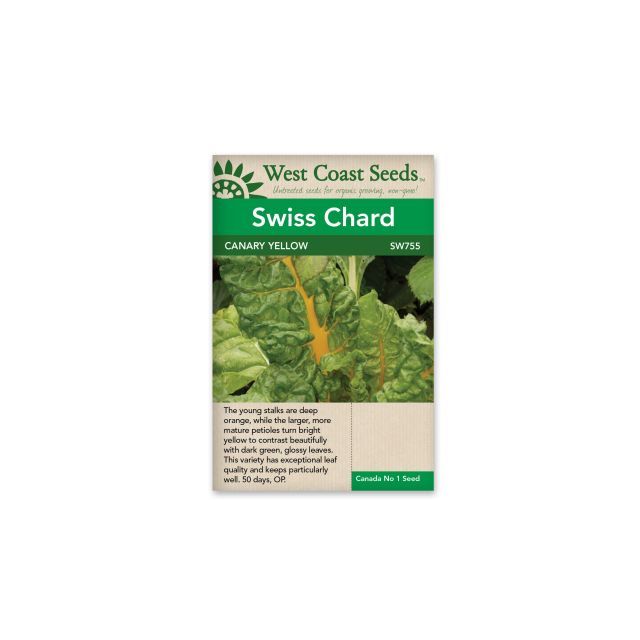 Canary Yellow container Swiss Chard Vegetable Seeds - West Coast Seeds - SW755A