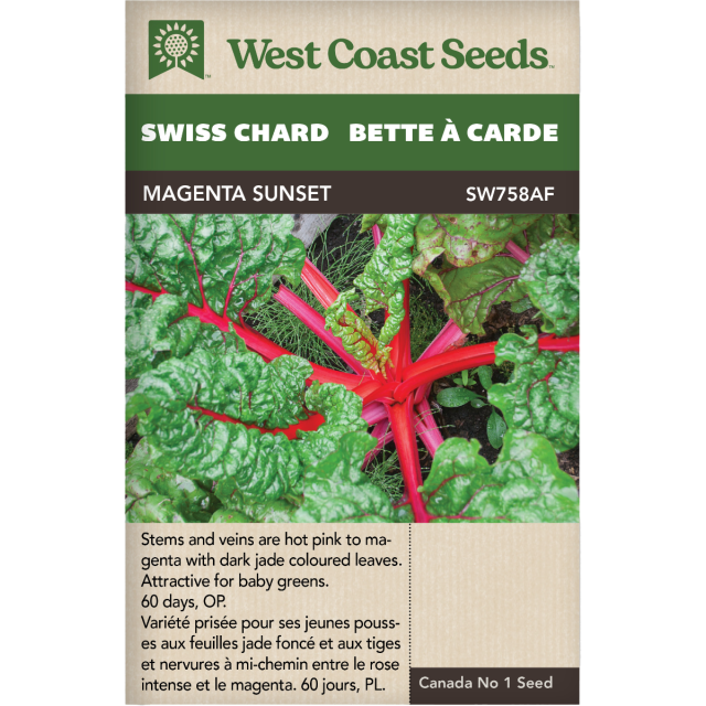 Magenta Sunset Swiss Chard Vegetables Seeds - West Coast Seeds
