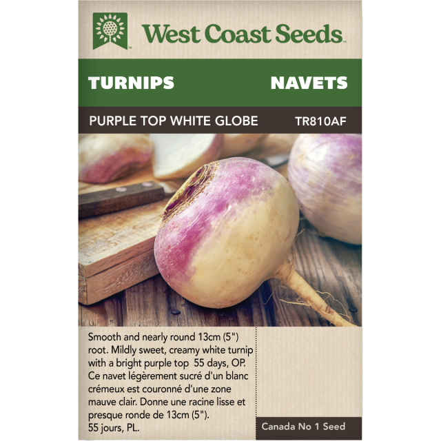 Purple Top White Globe Navets Légumes Graines - West Coast Seeds