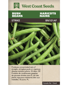 Strike Bush Beans Vegetables Seeds - West Coast Seeds