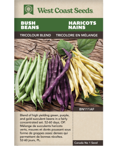 Tricolor Bean Blend Bush Beans Vegetables Seeds - West Coast Seeds