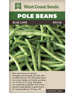 Blue Lake Pole Beans Vegetable Seeds - West Coast Seeds - BN126A