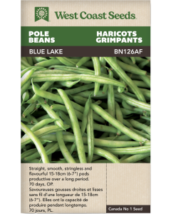 Blue Lake Pole Beans Vegetables Seeds - West Coast Seeds