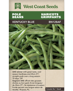 Kentucky Blue Pole Beans Vegetables Seeds - West Coast Seeds