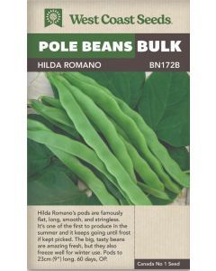 Hilda Romano Pole Beans Vegetable Seeds - West Coast Seeds - BN172B