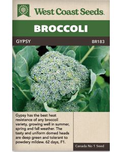 Gypsy F1 Heading Broccoli Vegetable Seeds - West Coast Seeds - BR183A