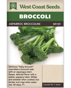 Aspabroc F1 (Brocollini) Green Sprouting Broccoli Vegetable Seeds - West Coast Seeds - BR189A