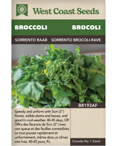Sorrento Raab Broccoli Vegetables Seeds - West Coast Seeds