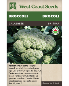 Calabrese Certified Organic Heading Broccoli Vegetables Seeds - West Coast Seeds