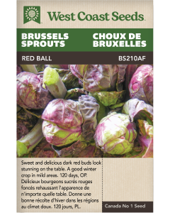 Red Ball Brussel Sprouts Vegetables Seeds - West Coast Seeds
