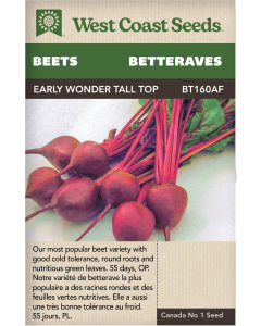 Early Wonder Tall Top Bunching Beets Vegetables Seeds - West Coast Seeds