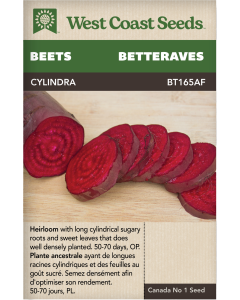 Cylindra Cylindrical Beets Vegetables Seeds - West Coast Seeds