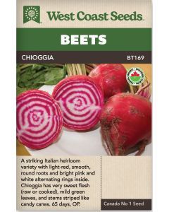 Chioggia Certified Organic (100 Seeds) Vegetable Seeds - West Coast Seeds - BT169A