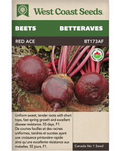 Red Ace F1 Organic Certified Red Beets Vegetables Seeds - West Coast Seeds