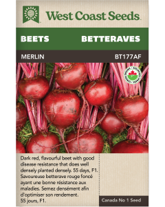 Merlin F1 Certified Organic Bunching Beets Vegetables Seeds - West Coast Seeds