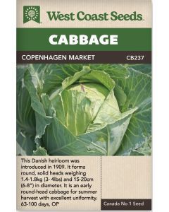 Copenhagen Market Fall Cabbage Vegetable Seeds - West Coast Seeds - CB237A